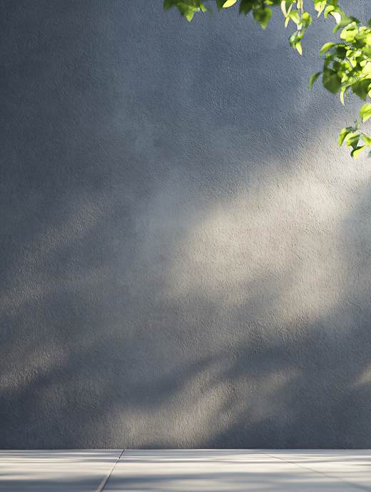 Sunlight casts shadows of leaves on a textured gray wall, with a smooth floor enhanced by Oregon's finest concrete coating.